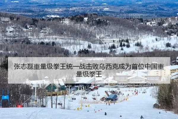 张志磊重量级拳王统一战击败乌西克成为首位中国重量级拳王